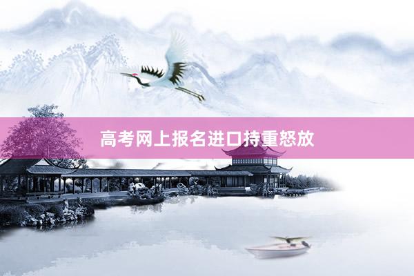 高考网上报名进口持重怒放